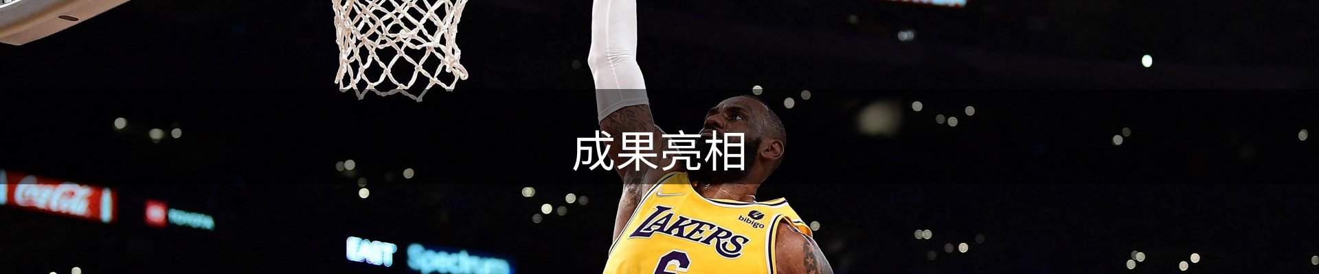 成果亮相
